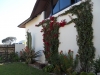 Pearl Valley 4 - after 2010