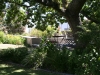 Camps Bay - after 2009