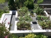 Camps Bay - after 2009
