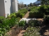 Pearl Valley 3 - after 2010